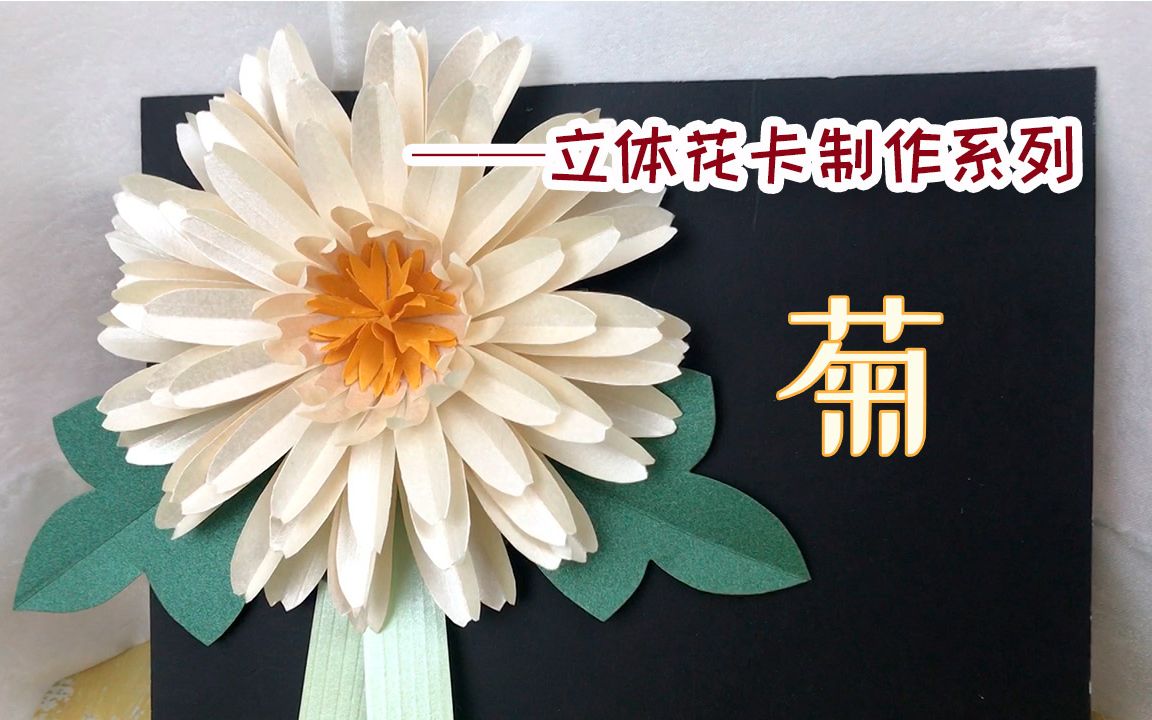 菊立体花卡教你做朵逼真的菊花清明寄托缅怀与致敬简