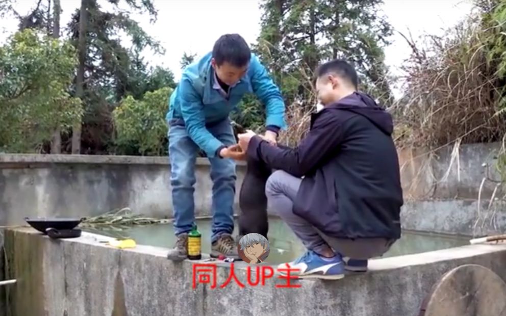 华农兄弟请停止你的村霸行为这是最后一次警告