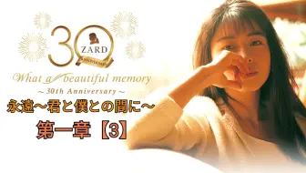Zard 永遠 君と僕との間に 第四章 2 哔哩哔哩 Bilibili