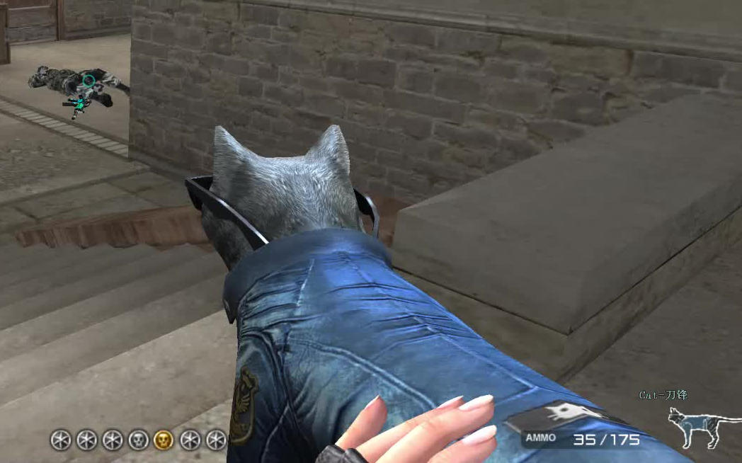 穿越火线 感谢传情喵喵给的cat_哔哩哔哩 (゜-゜)つロ 干杯~-bilibili