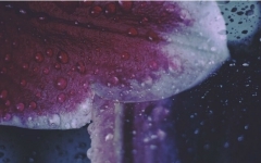 水中都市 Good On The Reel 哔哩哔哩 つロ干杯 Bilibili