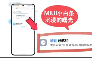 Download Video: MIUI小白条沉浸的曙光