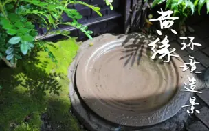 Download Video: 【黄缘环境造景全纪录介绍】女龟友为小黄缘打造的小世界，我都想住进去！