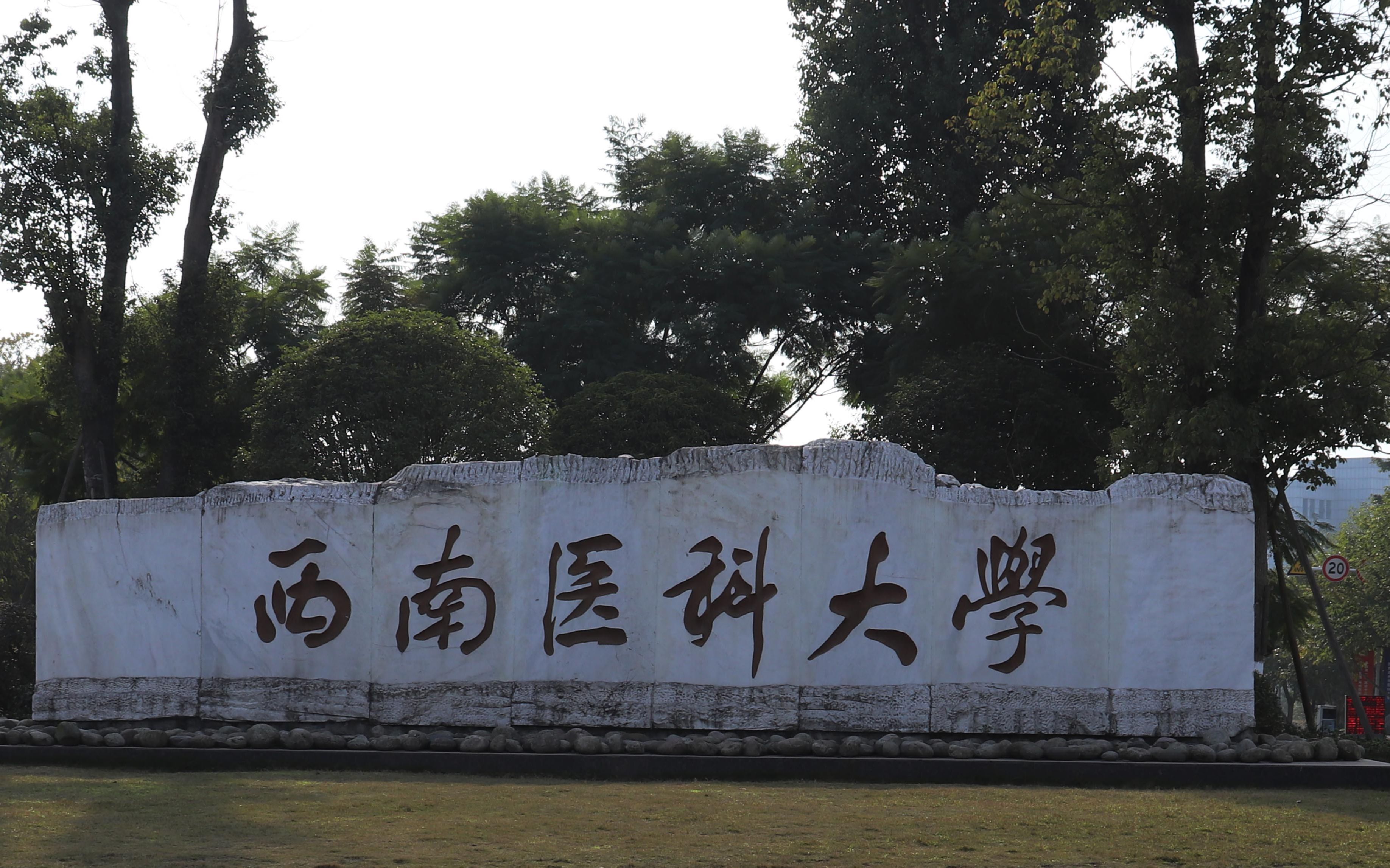 川南最强医学院西南医科大学,城北校区的环境真的那么令人向往吗_哔哩