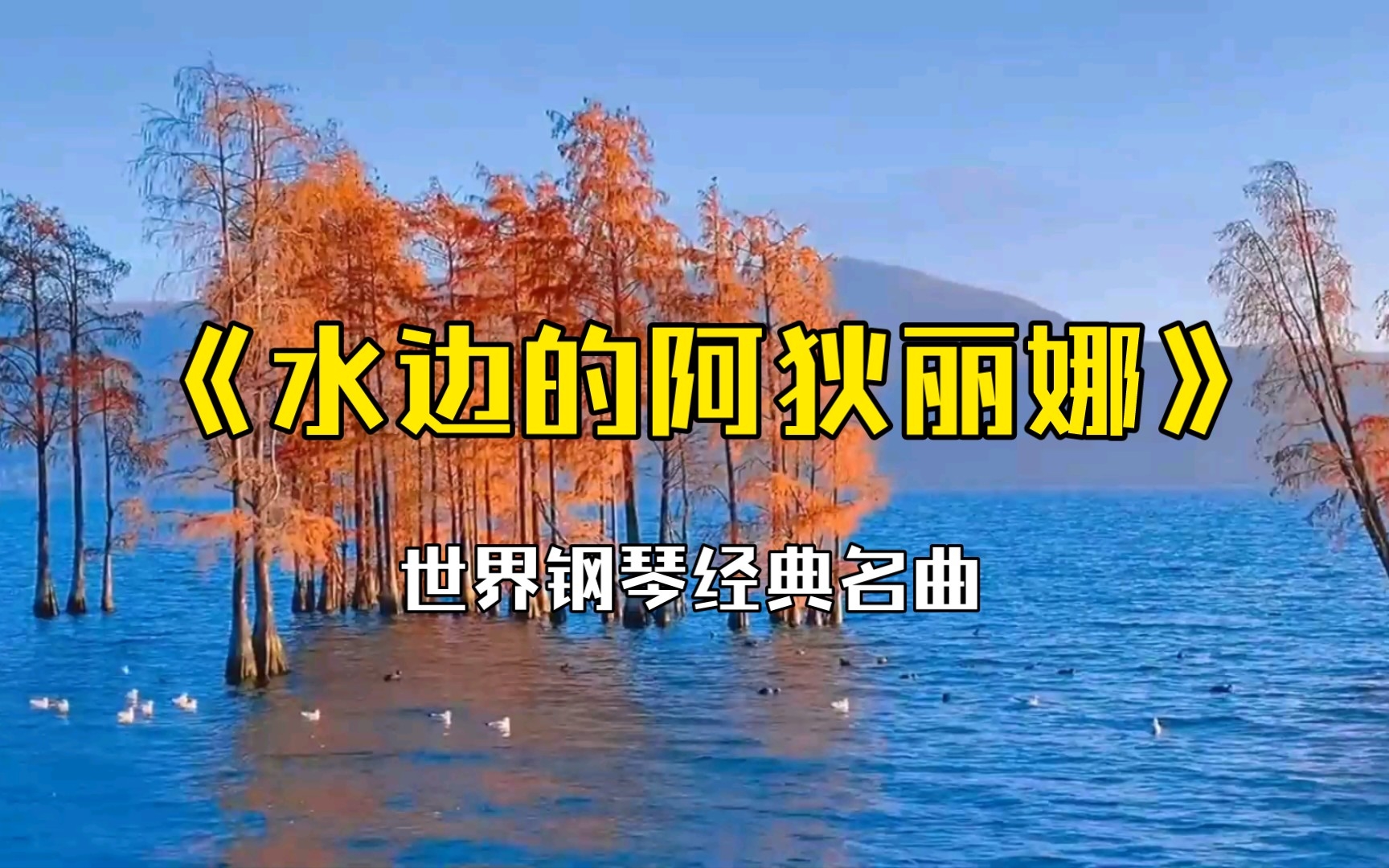 [图]世界经典钢琴名曲《水边的阿狄丽娜》