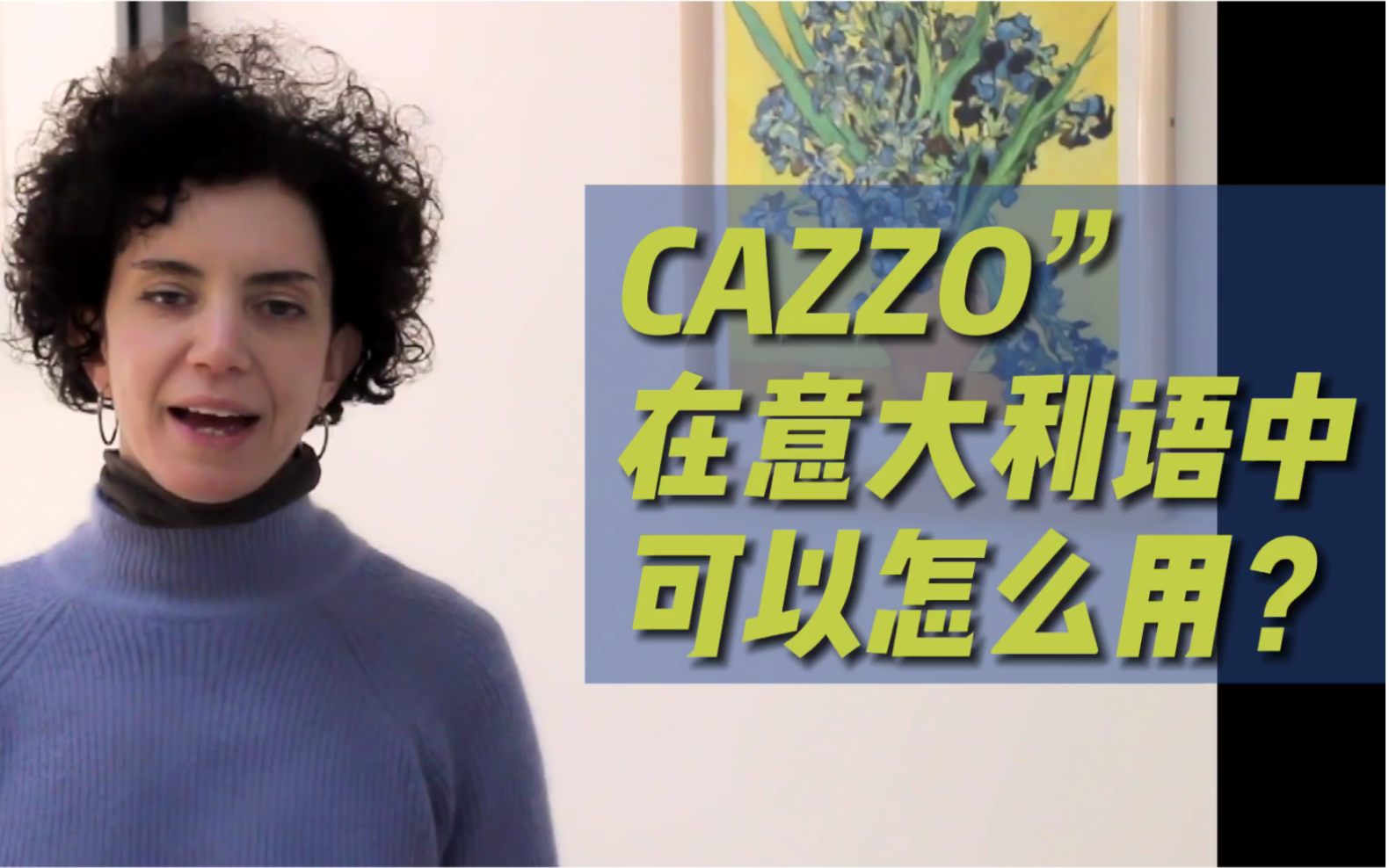 意大利语中“Cazzo”该怎么用?哔哩哔哩bilibili