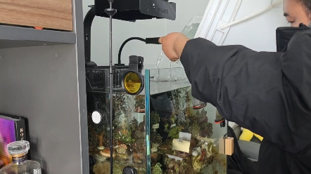 日常维护 #让喜欢的事成为生活 #鱼缸清洗维护换水 #极乐水族鱼缸维护