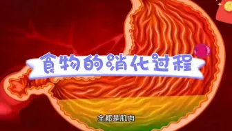食物的消化和吸收（高清动画）