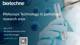 ACD RNAscope——新一代RNA原位杂交技术在病理科研中的应用
