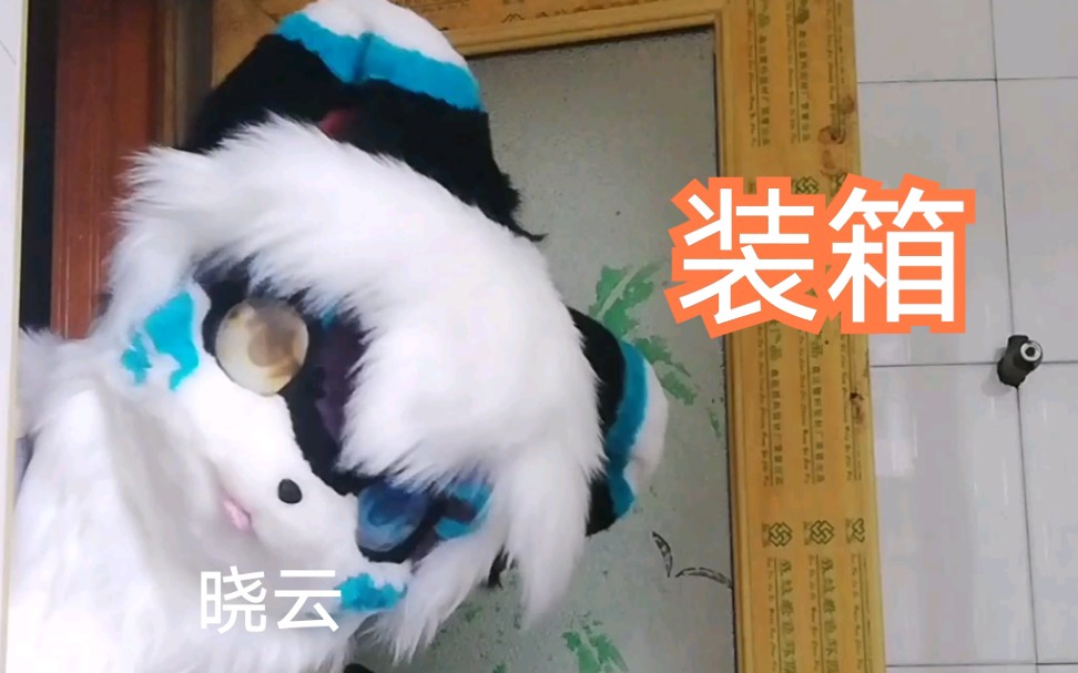 furry单头【装箱现场】第04期 ——by:亦鸟哔哩哔哩bilibili