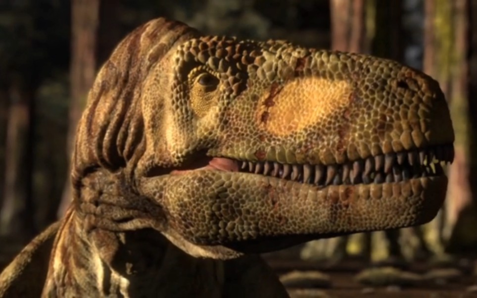 惧龙daspletosaurs围捕尖角龙centrosaurus