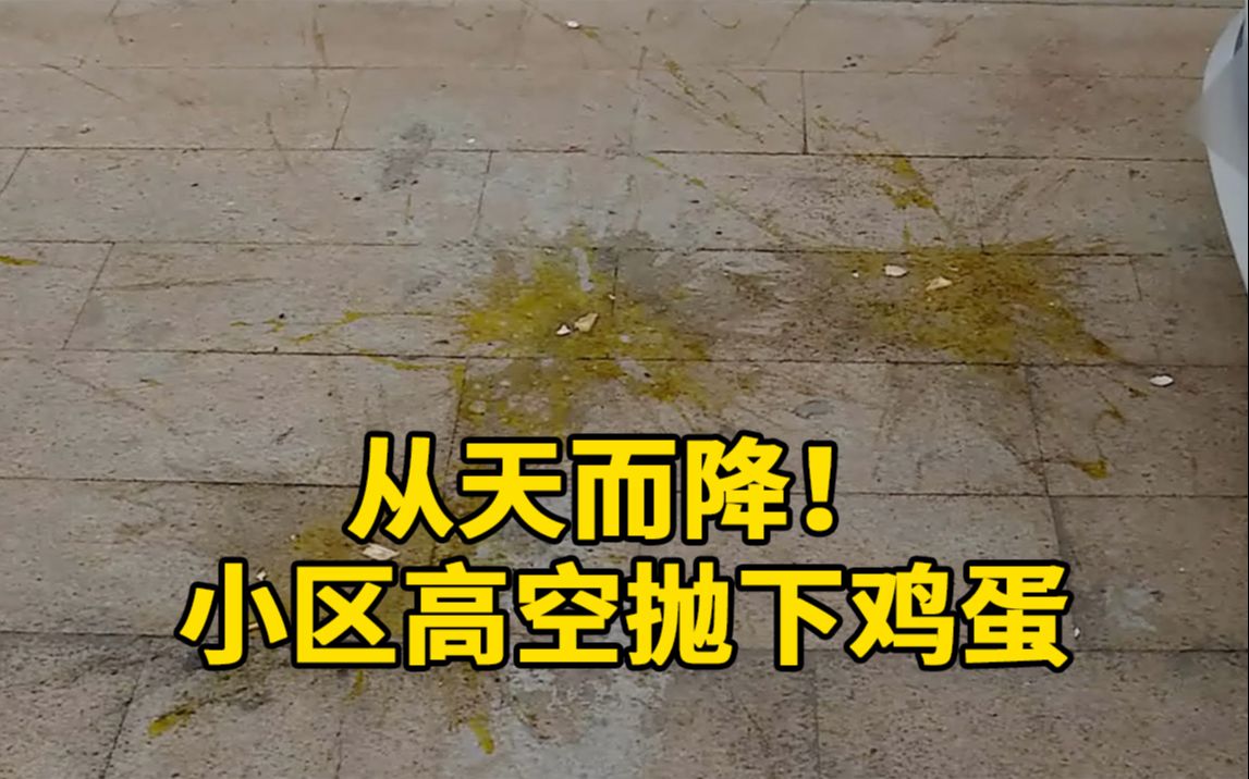 居民投诉小区高空抛下鸡蛋两个月遇到8次高空抛物