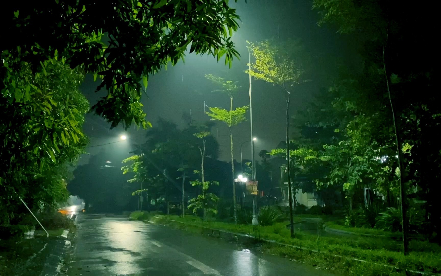 凌晨下雨的图片真实的图片