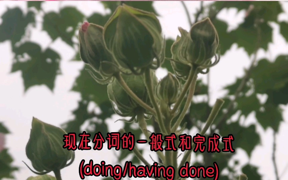 现在分词的一般式和完成式(doing/having done)哔哩哔哩bilibili