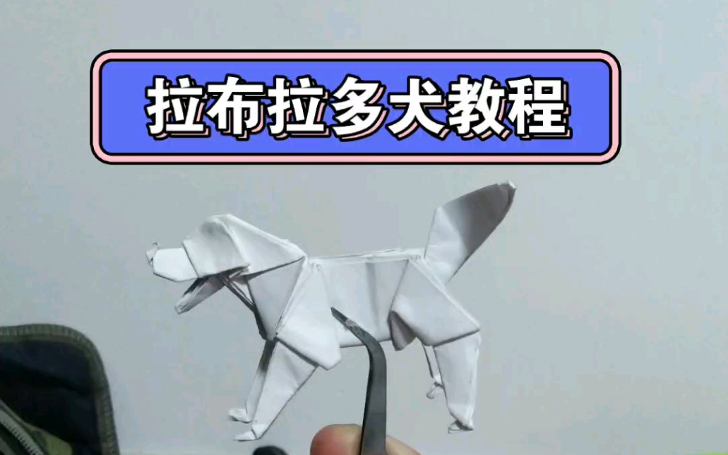 一只超级可爱的折纸拉布拉多犬教程.点关注.无细节.送人再好不过.