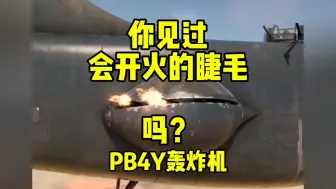 Download Video: 你见过眯眼开火的炮塔吗？来看PB4Y轰炸机