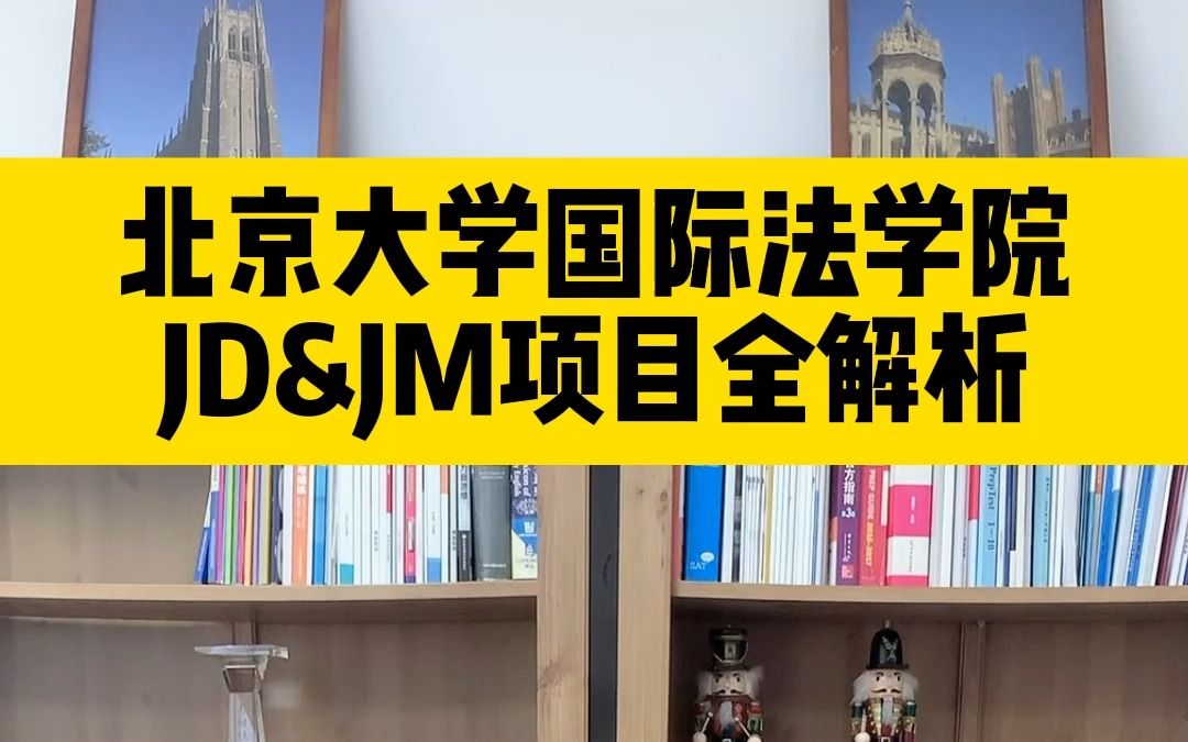 北京大学国际法学院JD&JM项目全解析哔哩哔哩bilibili