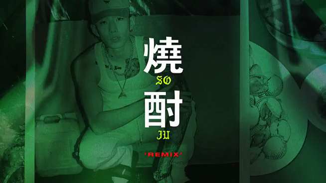 【ChinAOMG】朴宰范 SOJU Remix (Feat. Simon Dominic, Changmo & Woodie Gochild)音频哔哩哔哩bilibili