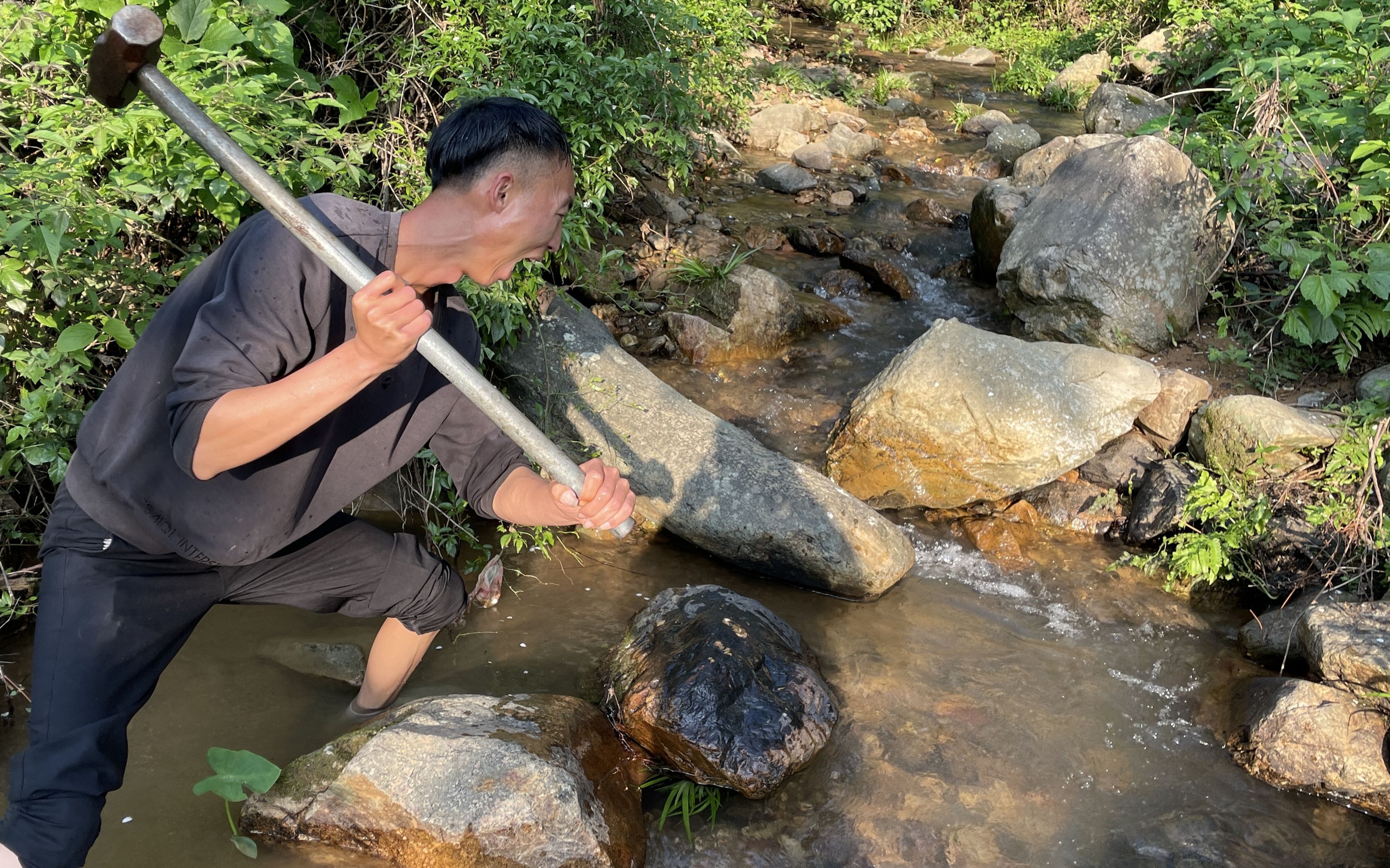 用大锤来小溪里敲石震鱼,收获溪石斑和山螺,手都震痛了