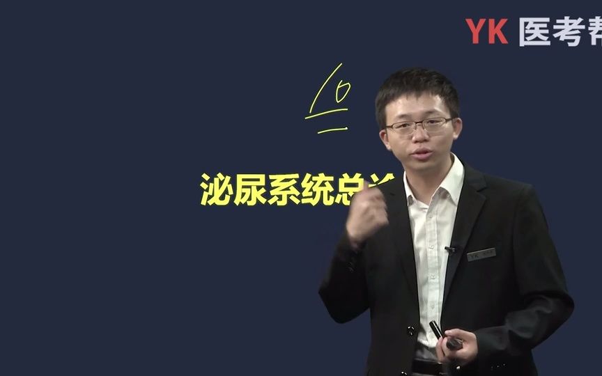 [图]医考帮唐子益内科学-第五篇泌尿系统疾病-第一章总论-考试大纲、肾脏的解剖和生理功能