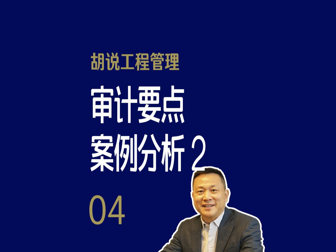 审计要点暨政府投资和国有企业投资项目要求,案例分析(二)哔哩哔哩bilibili