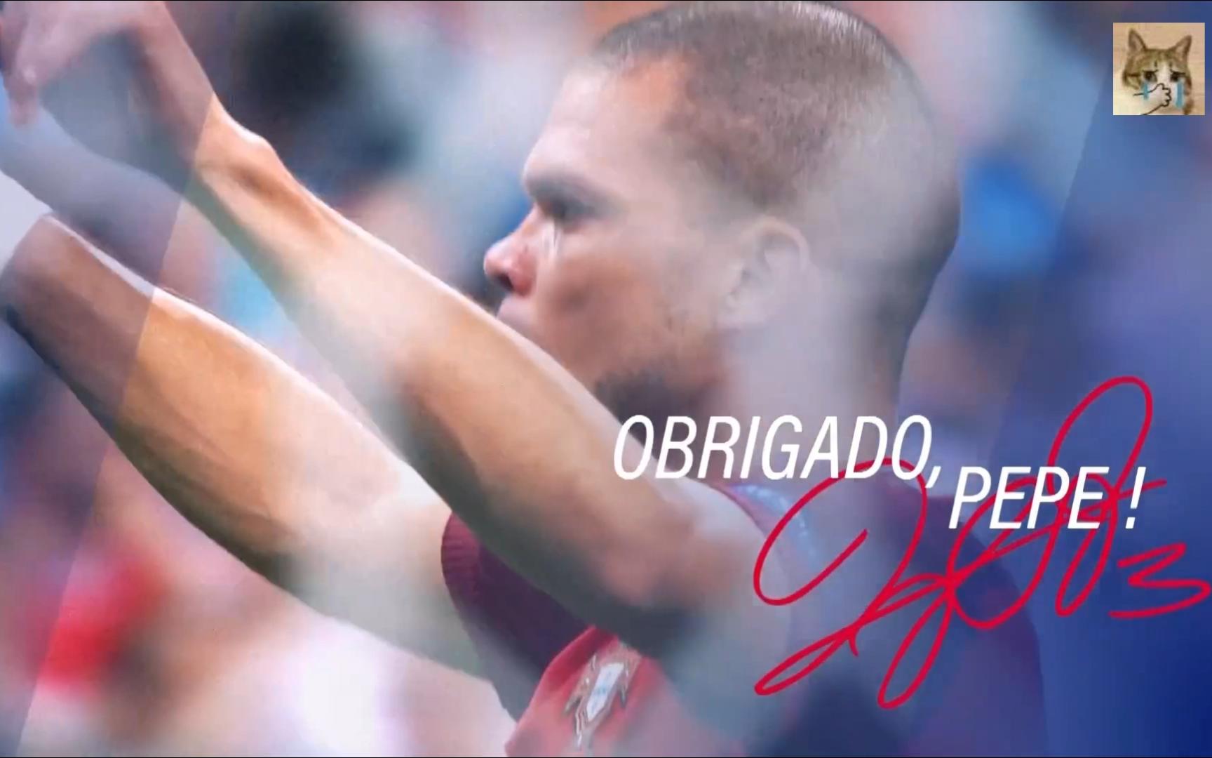 佩佩退役,后会有期!