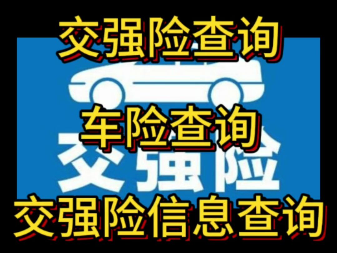 怎么查自己车的交强险?交强险查询,车险查询,车辆保险,交强险信息,车主指南哔哩哔哩bilibili