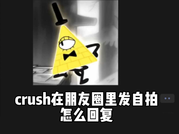 crush朋友圈发自拍,怎么回复哔哩哔哩bilibili