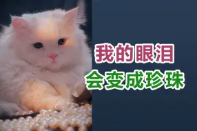 Скачать видео: 我是只珍珠猫，我的眼泪会变成珍珠