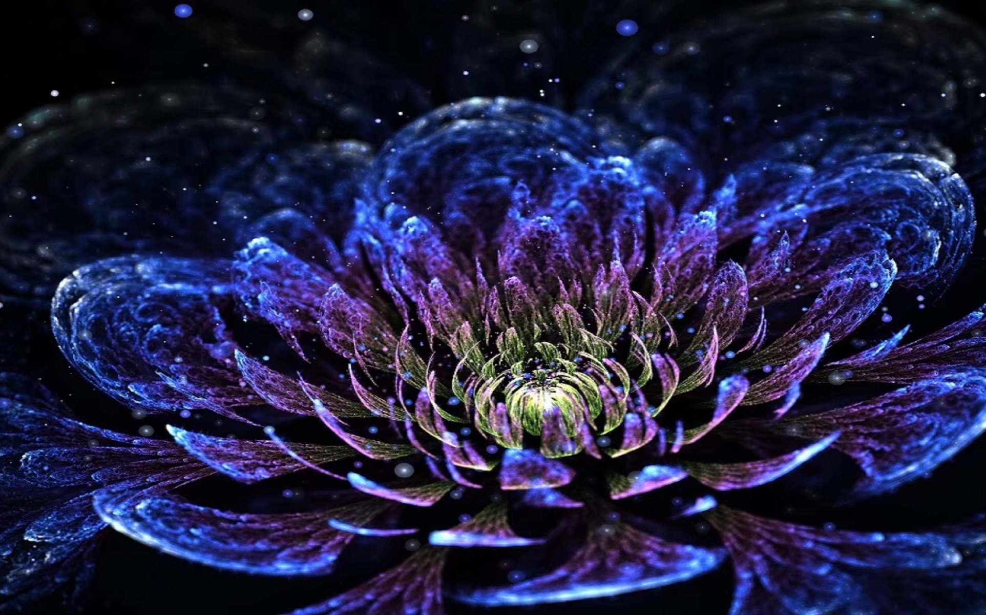 energyflower30076kc判9334