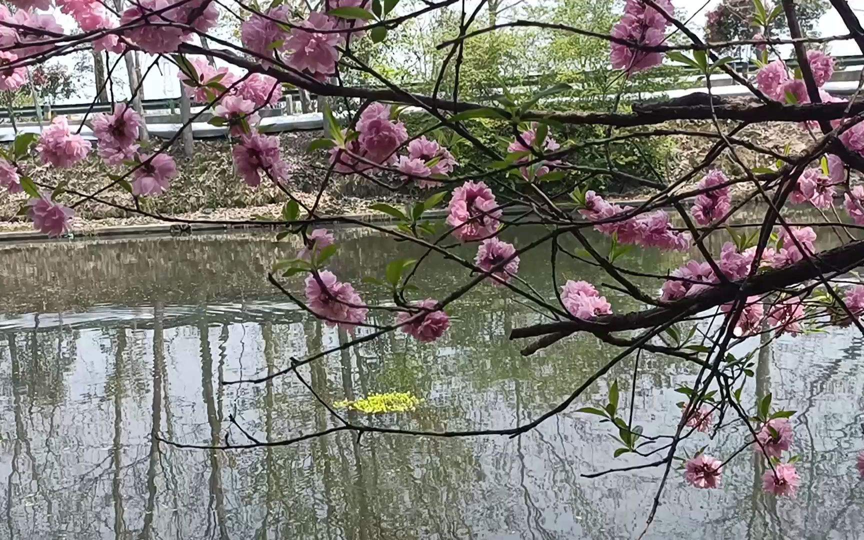 [图]再唱支歌给党听