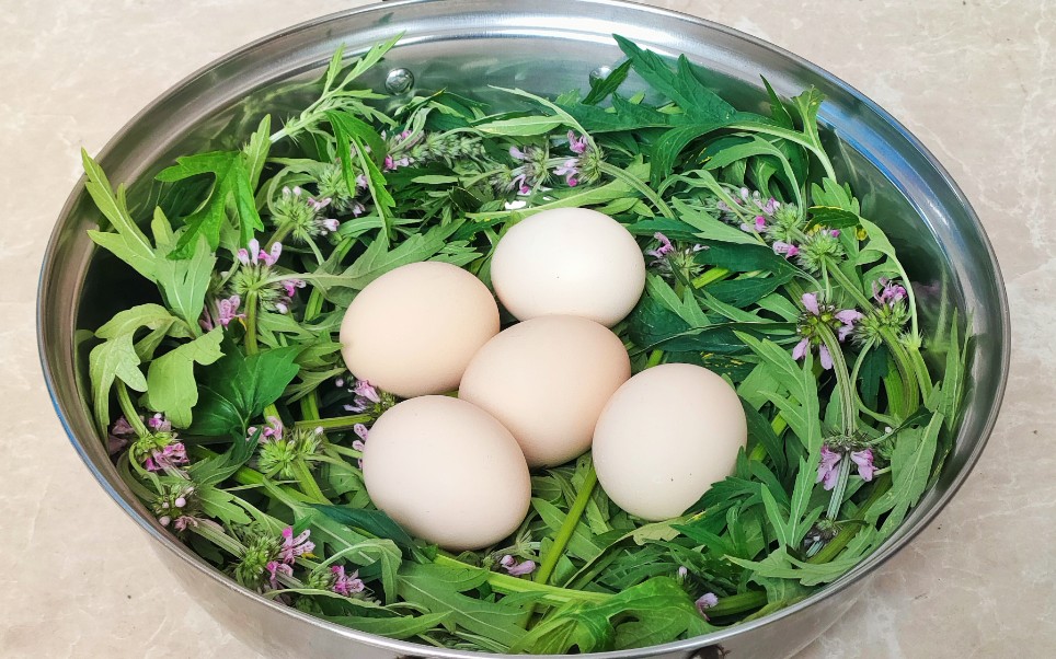 益母草当归煮鸡蛋功效(益母草当归煮蛋:女性养生佳品)