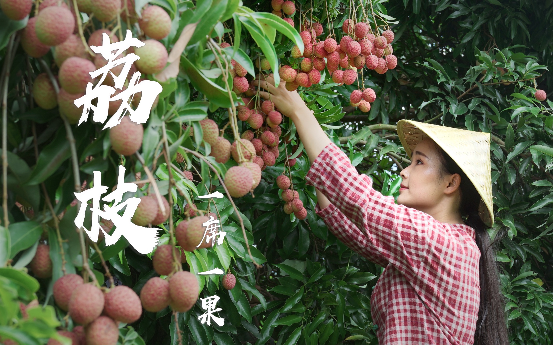 [图]一席一果（二）——荔枝，用荔枝做一桌清爽荔枝宴，这个新鲜的味觉体验，既解暑又满足！【滇西小哥】