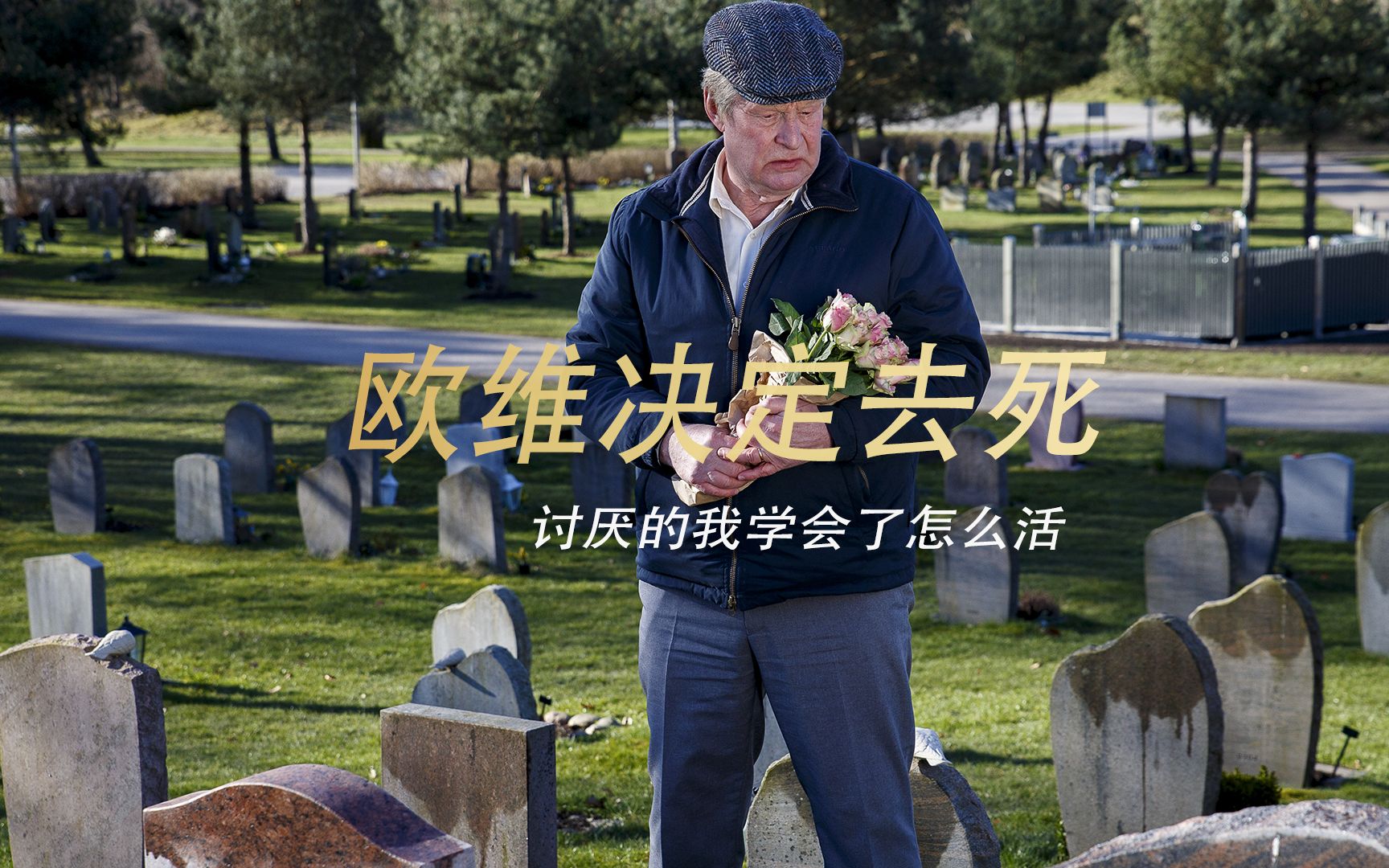 一个叫欧维的男人决定去死