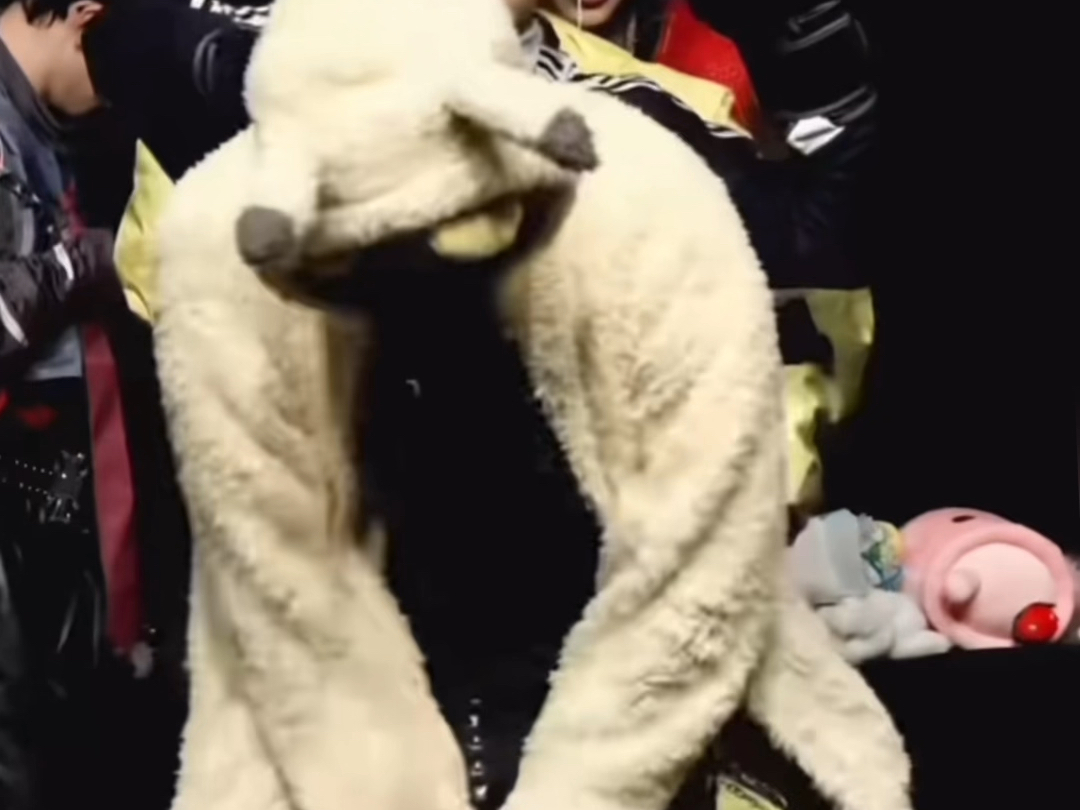 蹦迪狗哈哈哈哈哈哈哈哈