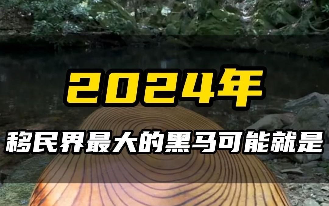 2024年,移民界最大的黑马可能就是……哔哩哔哩bilibili