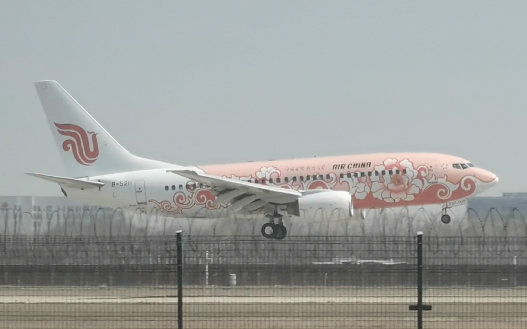【tsn】国航737"红牡丹"彩绘降落滨海机场跑道16l