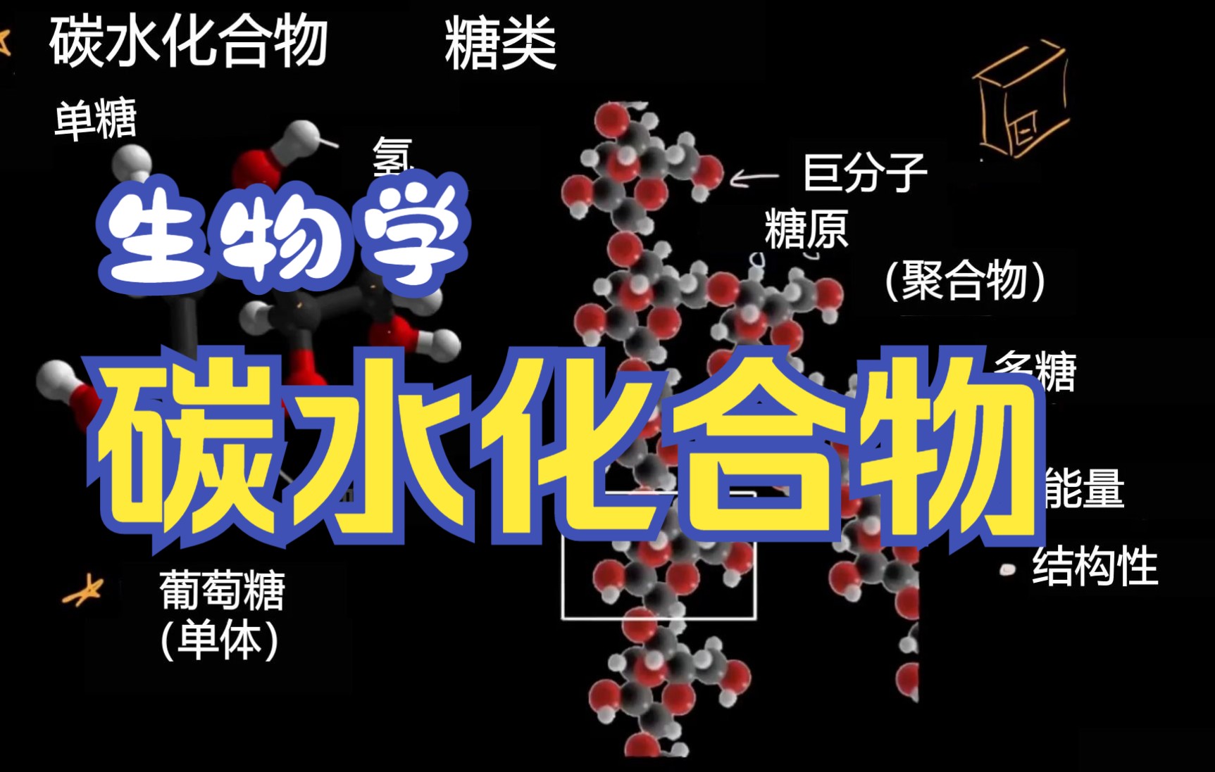 [图]碳水化合物的介绍 |生物学