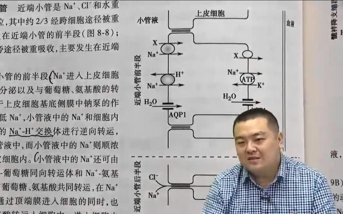 [图]2021考研西综王强《九版教材精读 生理》第08章