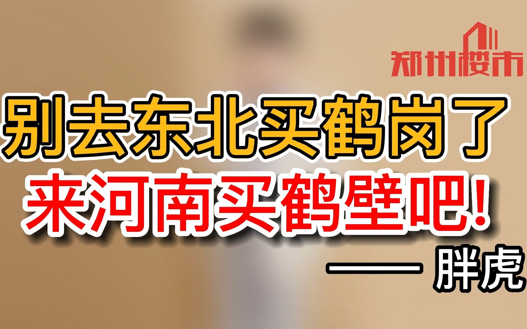 鹤岗与鹤壁 你会怎么选?哔哩哔哩bilibili