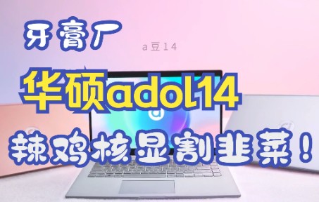 脑洞评测:华硕a豆14,12500H鸡肋核显割韭菜哔哩哔哩bilibili