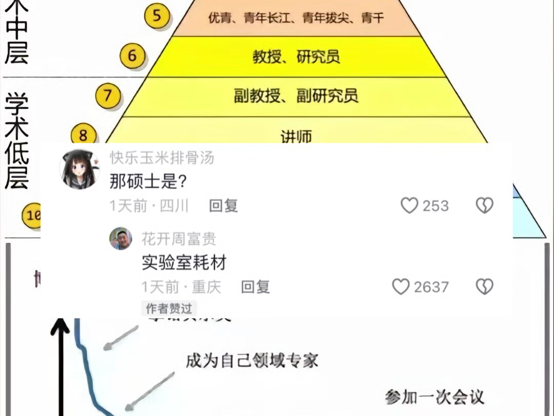 学术层次,从博士到硕士.哔哩哔哩bilibili