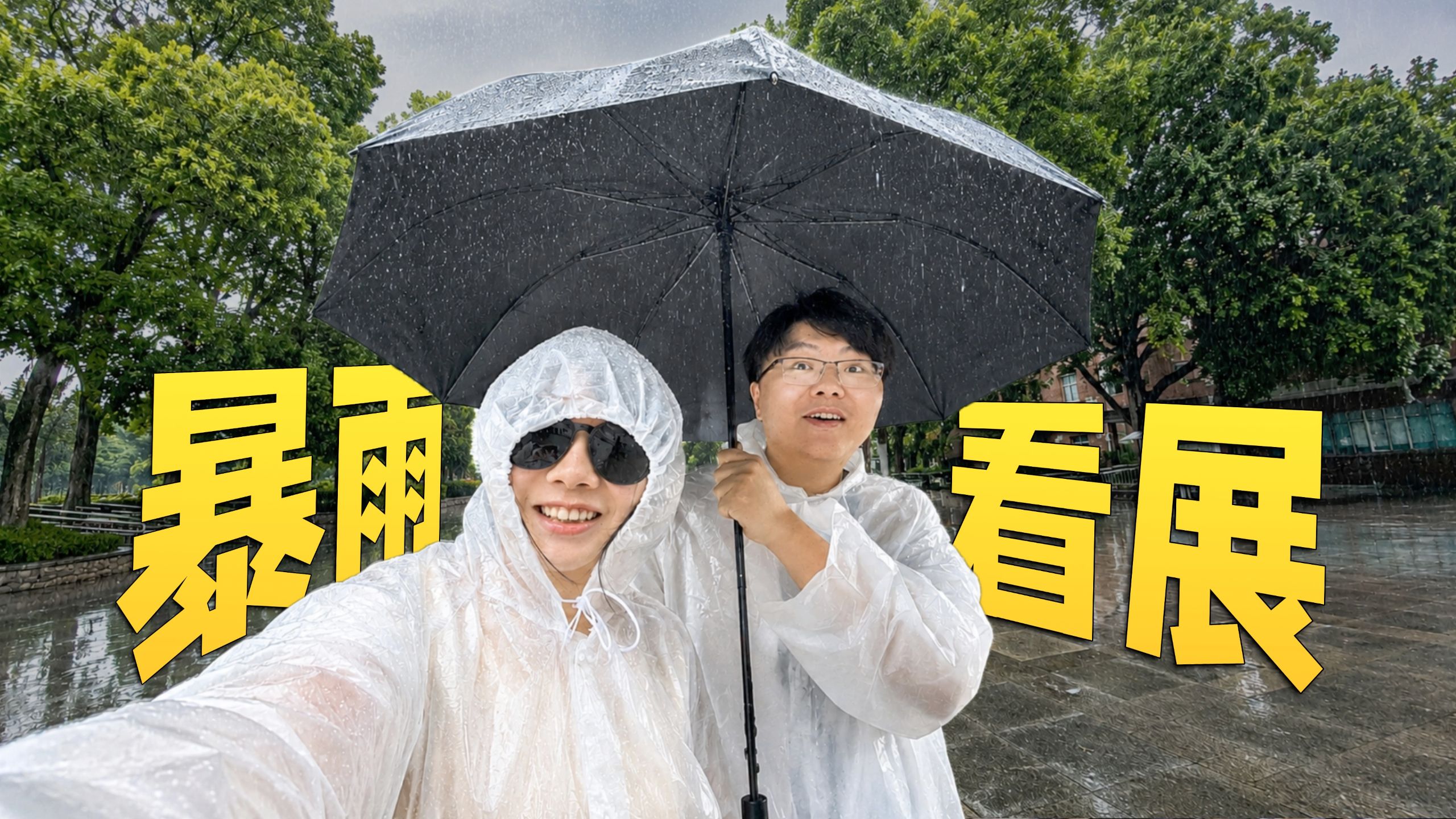 暴雨红色预警！我拉圈圈去看5万块笔记本？