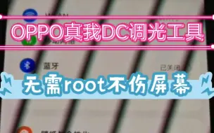 Download Video: 真我GTNeo5SE高亮度DC调光工具！无需root消除频闪，OPPO一加也可用！保护视力！