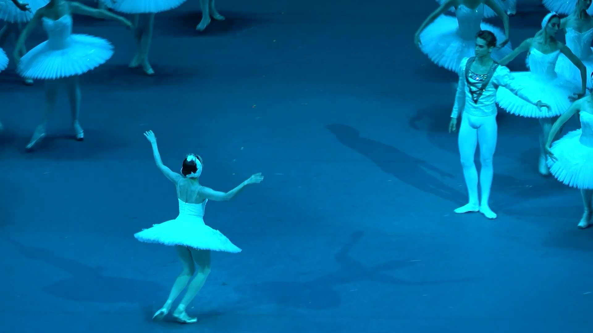 【绝美芭蕾】anna nikulina世界第一的白天鹅双人舞