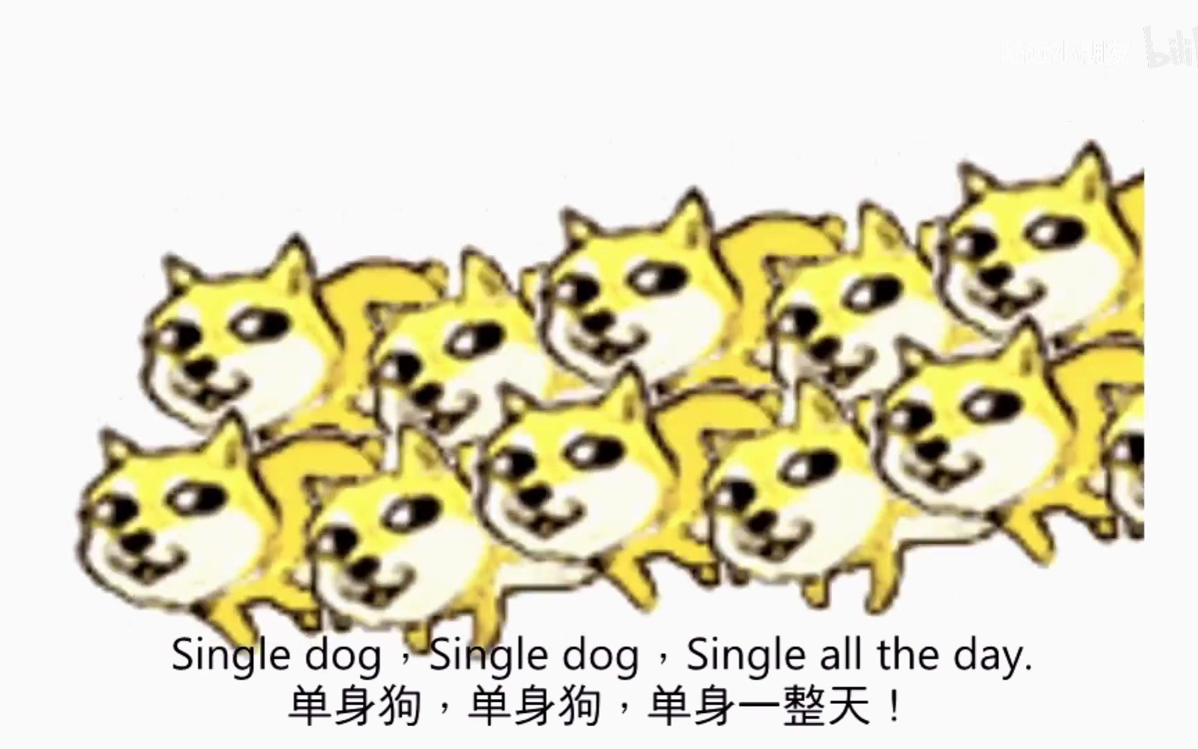 [图]【Weina】Single Dog