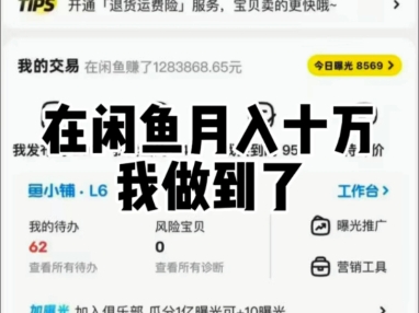 闲鱼一天赚多少钱是真的(闲鱼每个月赚六七千的人有吗)