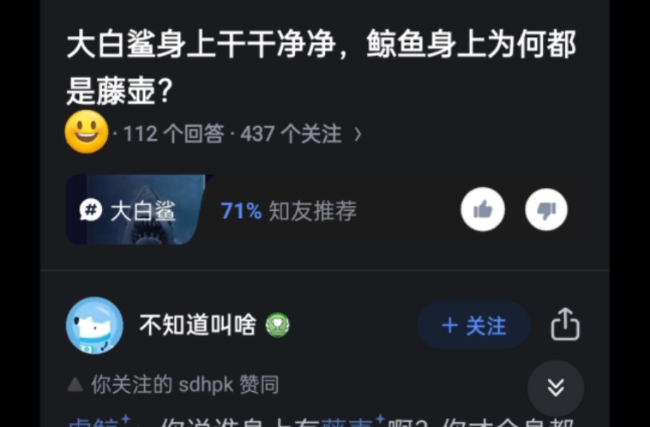 大白鲨身上干干净净,为什么鲸身上却有许多藤壶?哔哩哔哩bilibili
