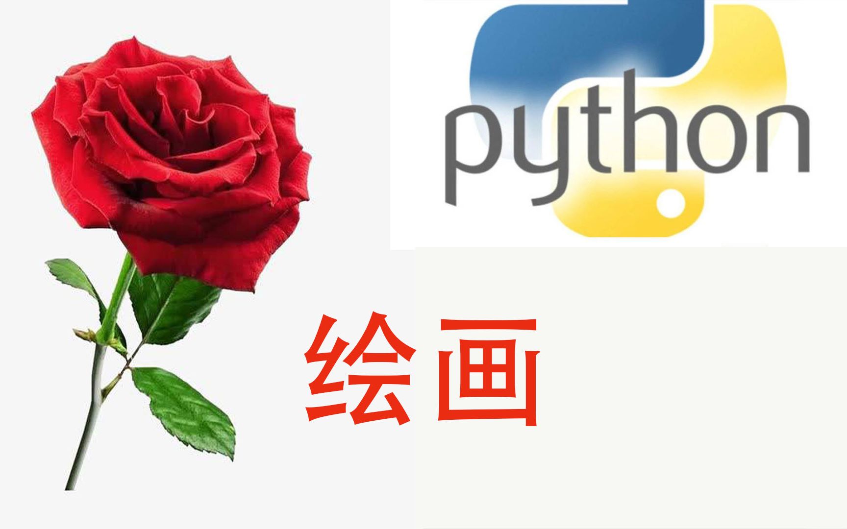 python创意小作品图片