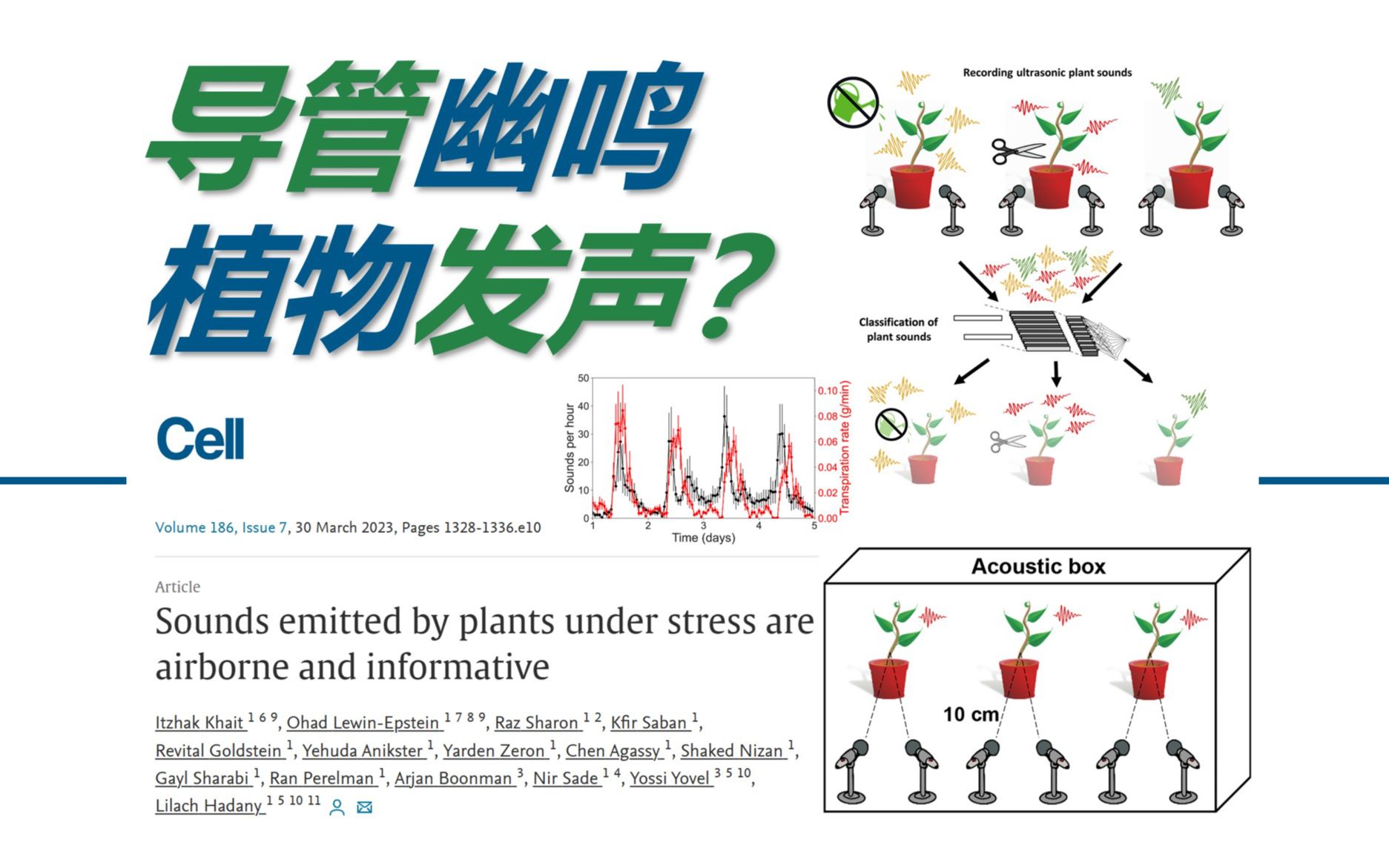 【文献速递】新知35 导管幽鸣逆境起 植物发声为哪般?哔哩哔哩bilibili